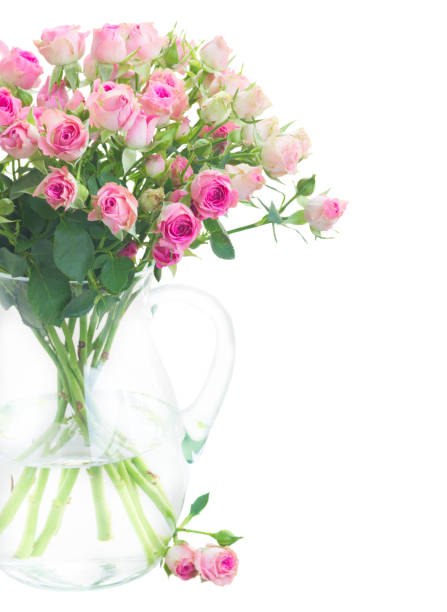 istock Bouquet of small pink roses 664226914