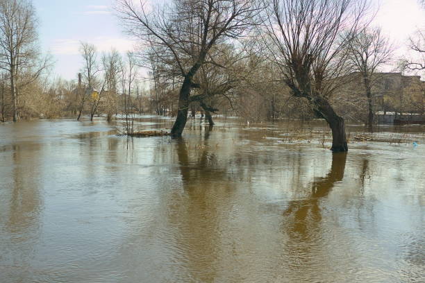 istock Spring flood in the village with trees 664229352