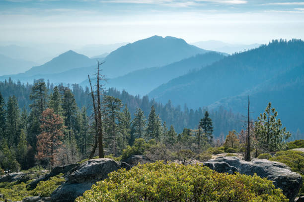 istock Landscape of Sequoia National park 664232850