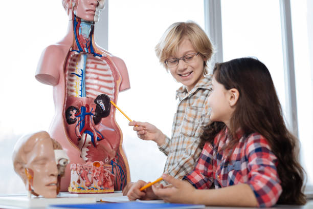 istock Intelligent bright boy helping his fellow students 664234054