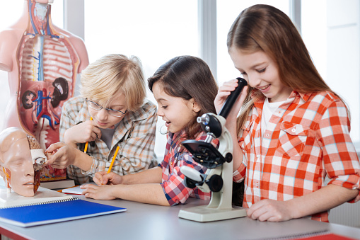 Having fun together. Diligent motivated intelligent kids conducting a research together while a girl looking in the microscope and her friends examining a brain model