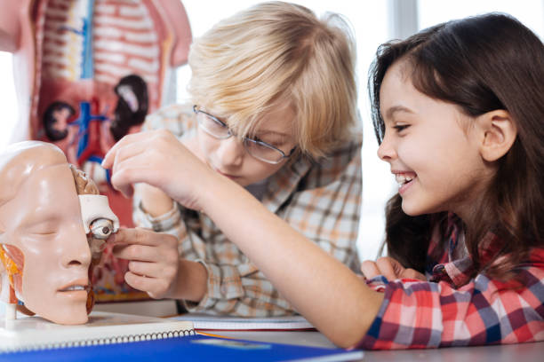 istock Engaging positive kids examining human body model 664234154