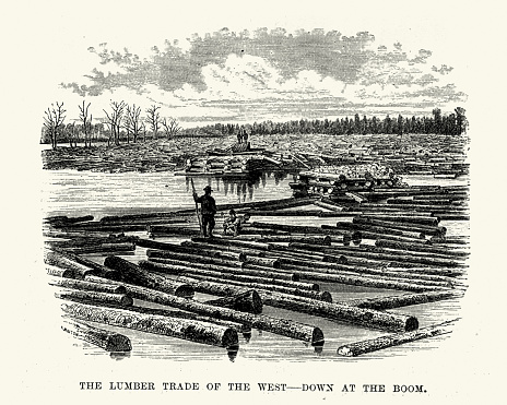 Vintage engraving of Lumber Trade of the West, Down at the boom, 19th Century