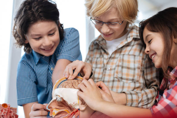istock Energetic diligent students looking excited about anatomy 664235230