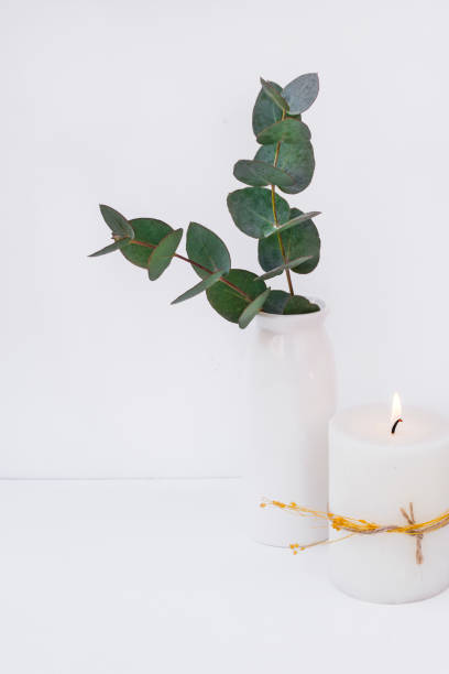istock Branches of green silver dollar eucalyptus in ceramic vase, burning candle on white background, styled image, interior design, blogging 664238352