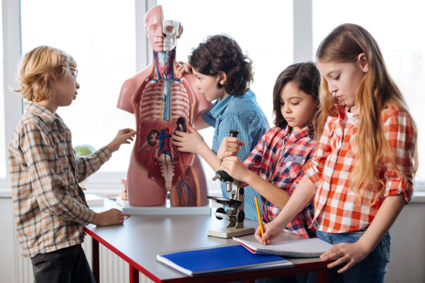 istock School research team gathered around the table 664241196