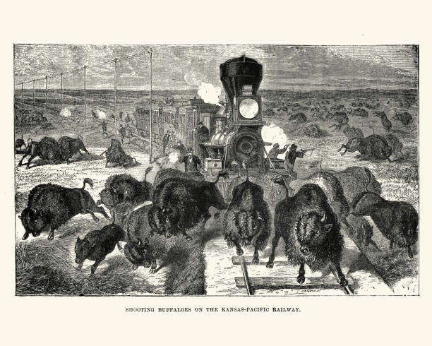 Vintage engraving of Shooting buffaloes on the Kansas Pacific Railway, 19th Century