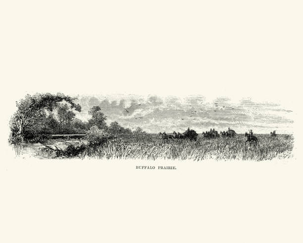 Vintage engraving of a Stagecoach travelling across the Buffalo Prairiem 19th Century