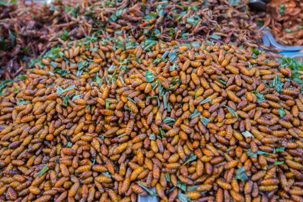 Insect fried Insect fried.The food on street food in Thailand- A snack often used in Asia. Soft Focus and blur. fried insects for snack thai food at market stock pictures, royalty-free photos & images