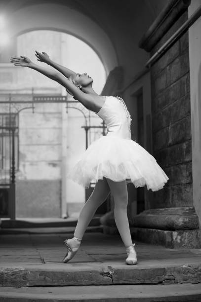 istock Female ballerina posing 664249894