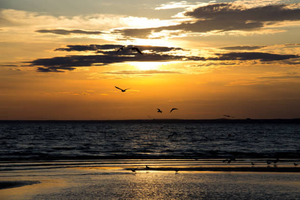 istock Sunset, Evening, Landscape, Twilight, Landscape 664254452