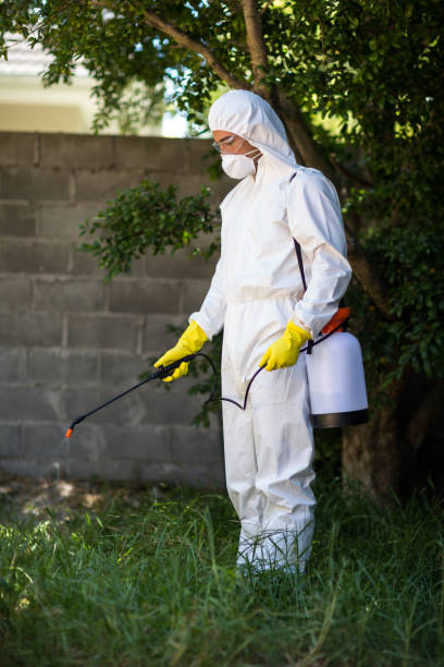 istock Man spraying insecticide on grass 664255824