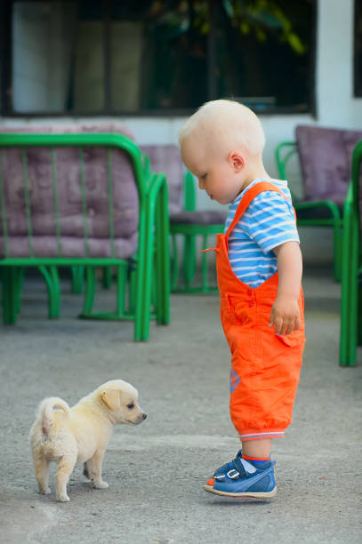 istock a boy and a stray puppy 664263716