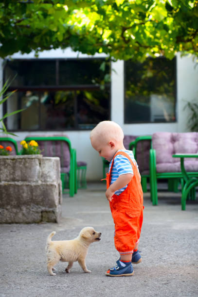 istock a boy and a stray puppy 664263720