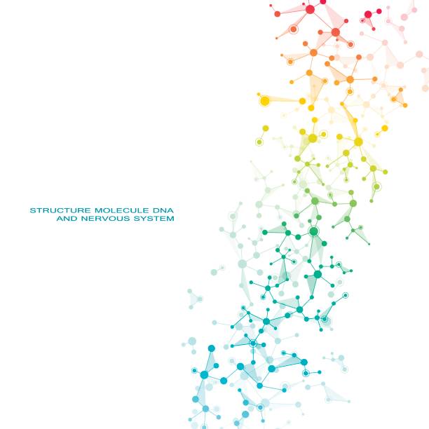 ilustrações de stock, clip art, desenhos animados e ícones de molecule dna and neurons vector. molecular structure. connected lines with dots. genetic chemical compounds. chemistry, medicine, science, technology concept. geometric abstract background - formula chemistry vector molecular structure