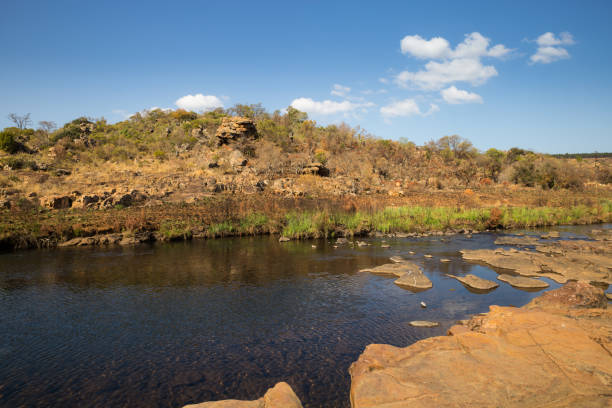 istock River at Bourke Luck Potholes, Blyde River Canyon, South Africa 664271184