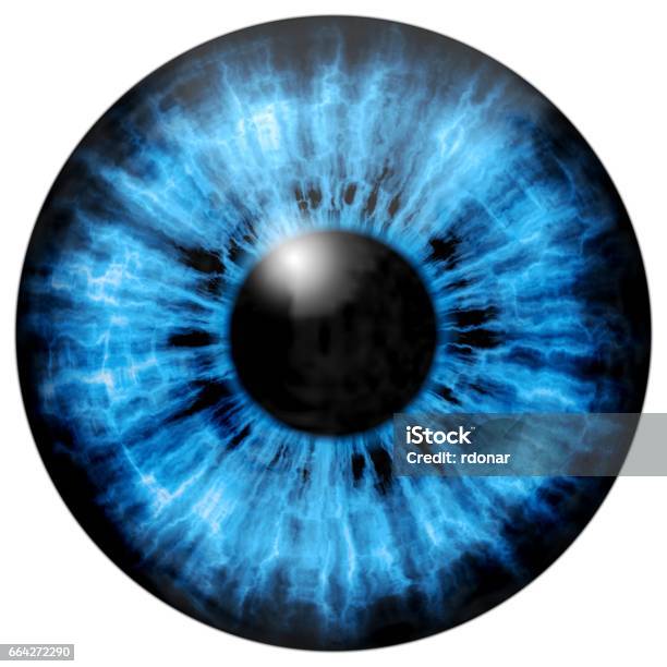 Illustration Of Blue Eye Iris Light Reflection Stock Illustration - Download Image Now - Blue, Dilation, Human Eye