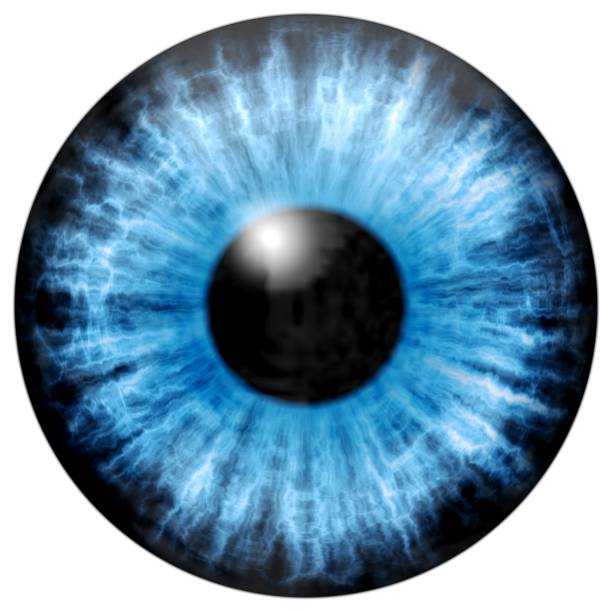 Illustration of blue eye iris, light reflection. Illustration of blue eye iris, light reflection. dilation stock illustrations
