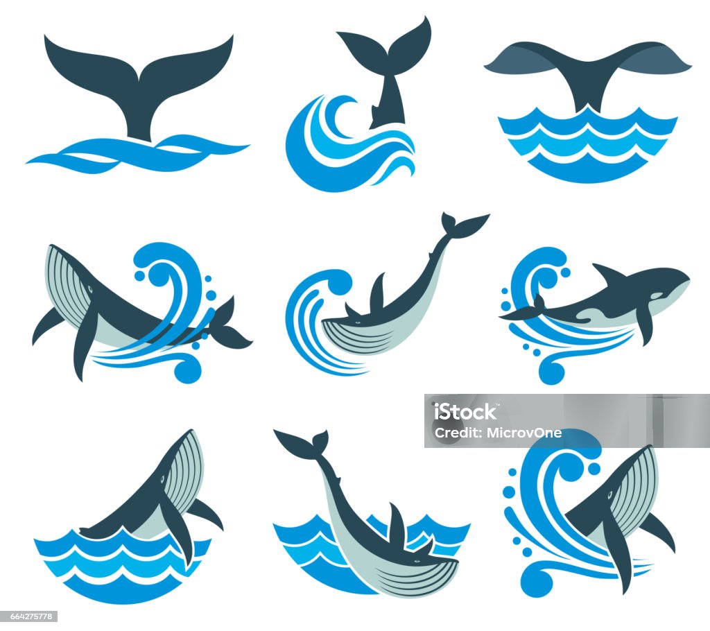 Ballena salvaje en las olas del mar y el agua salpica los iconos vectoriales - arte vectorial de Ballena libre de derechos