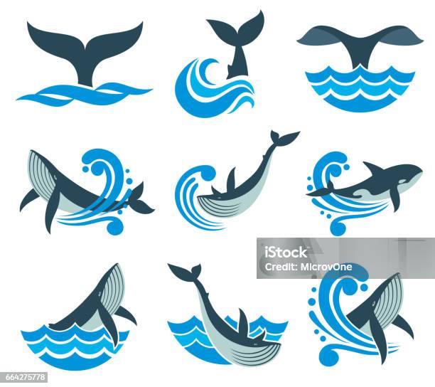 Ilustración de Ballena Salvaje En Las Olas Del Mar Y El Agua Salpica Los Iconos Vectoriales y más Vectores Libres de Derechos de Ballena