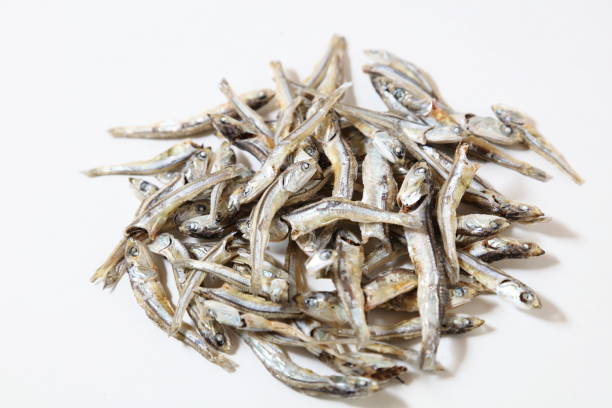 Dried sardine Dried sardine 乾物 stock pictures, royalty-free photos & images