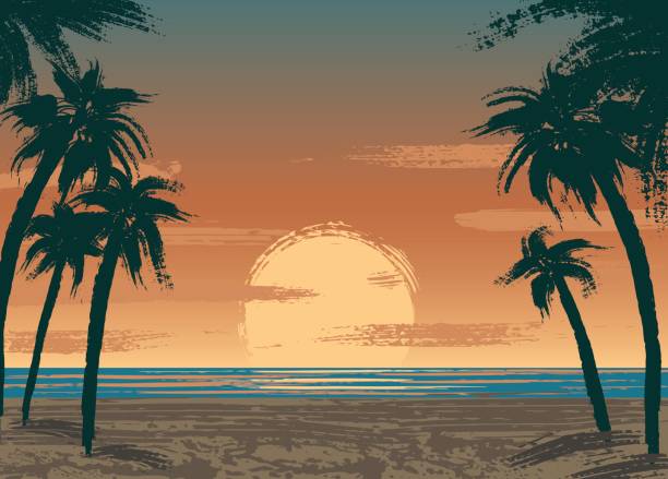 illustrations, cliparts, dessins animés et icônes de coucher de soleil sur l'océan - tropical climate florida backgrounds island