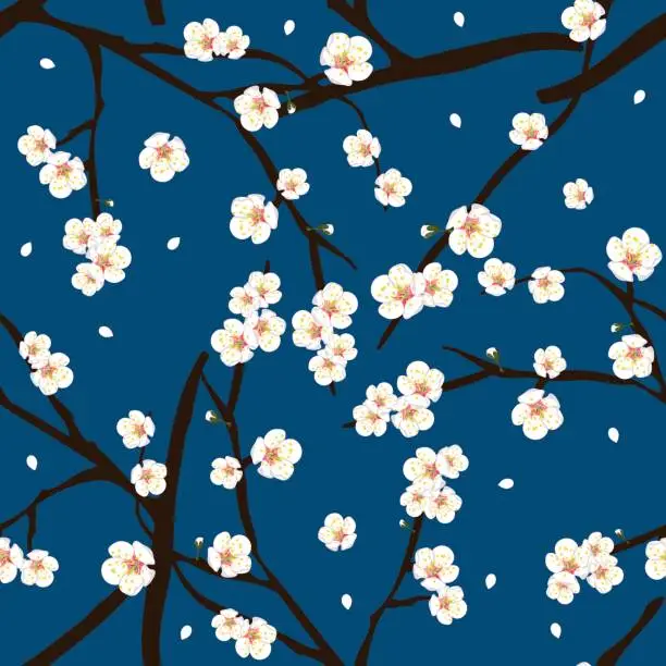 Vector illustration of White Plum Blossom Flower on Indigo Blue Background. Vector Illustration