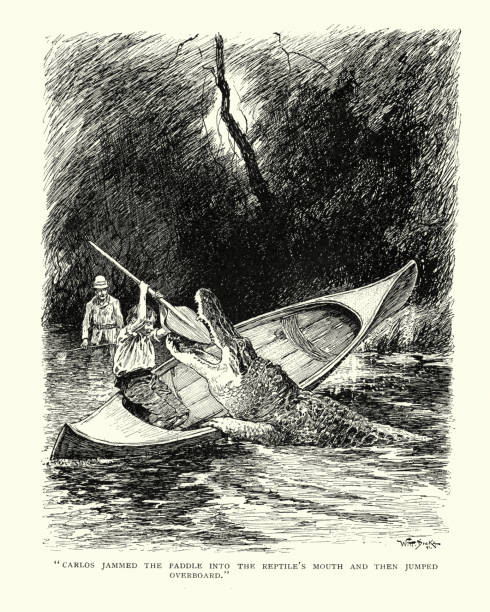 Vintage engraving of a man fighting of an alligator, 19th Century