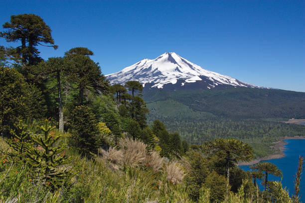 istock view of Llaima volcano in Chile 664292846
