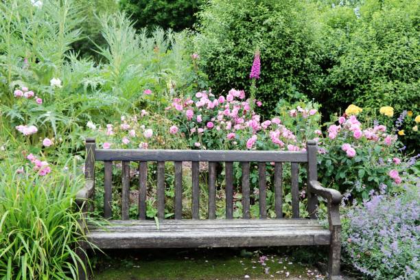 istock Parkbench in Hyde Park London, United Kingdom 664296068