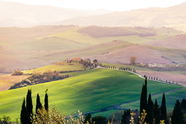 istock Tuscany, spring landscape, rolling hills at sunset 664300544