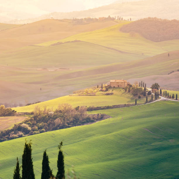 istock Tuscany, spring landscape, rolling hills at sunset 664300560