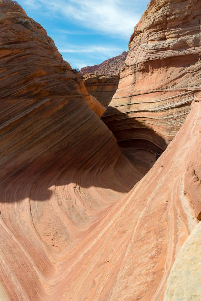 istock The Wave in North  Coyote Buttes 664308886