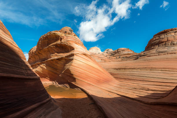 istock The Wave in North  Coyote Buttes 664308926