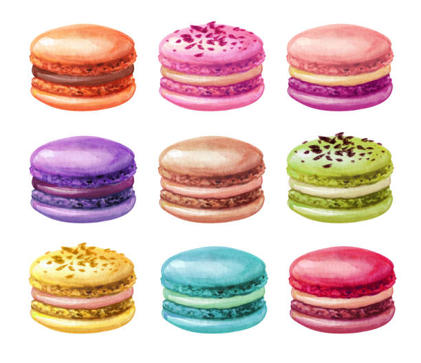 illustrations, cliparts, dessins animés et icônes de assortiment de crayons aquarelle de macarons, macarons mix clip art, illustration de dessert, isolé sur fond blanc - macaroon