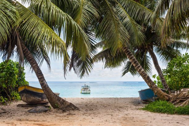 istock Fishing boats on the Anse Royale beach 664313986