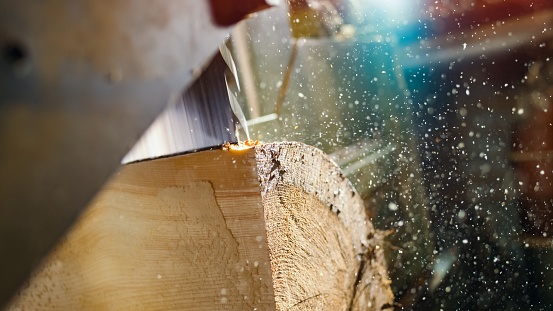 Close-up of electric saw cutting a log at timber yard.