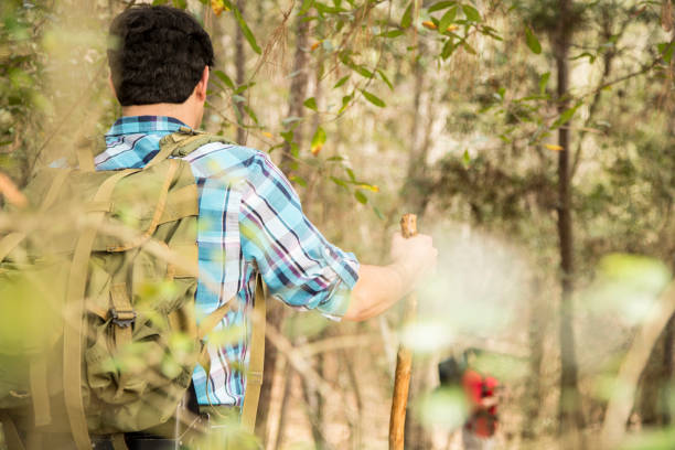 istock Friends enjoy nature on hiking trip. 664332142