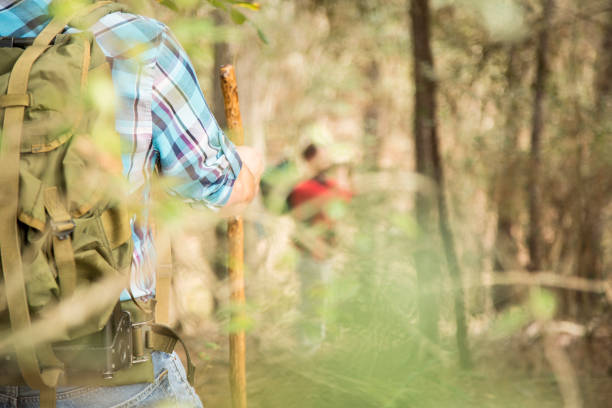 Two young to mid-adult, male friends enjoying nature on a hiking trip in the forest.  They wear backpacks and enjoy looking at the view through the woods.  Rear view.