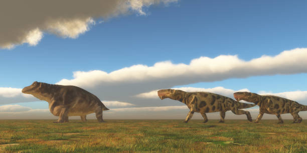 Permian Inostrancevia hunts Keratocephalus Two Inostrancevia dinosaurs go after a Keratocephalus on a grassy plain in the Permian Period. heian period stock illustrations