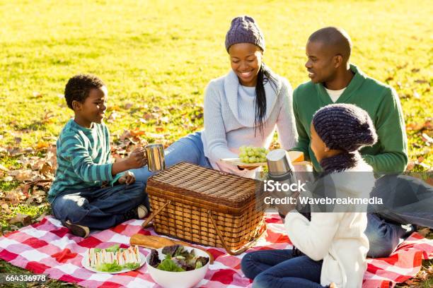 Young Smiling Family Doing A Picnic Stock Photo - Download Image Now - Picnic, Family, African Ethnicity