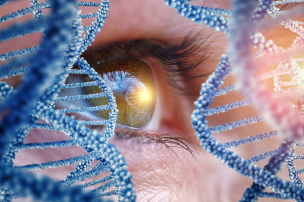 Specialist oversees the DNA concept design .