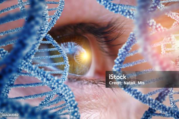 Specialist Oversees The Dna Stock Photo - Download Image Now - Eye, DNA, Genetic Research