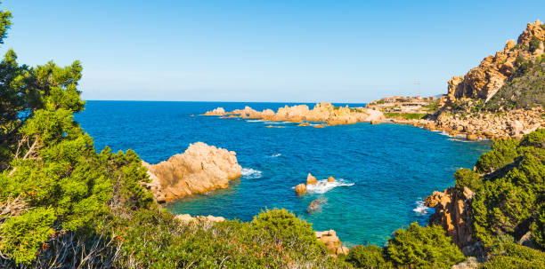 istock Green plants in Costa Paradiso 664347114