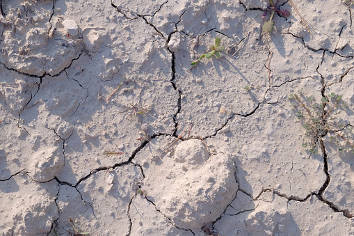 Soil drought dry earth cracked texture ground