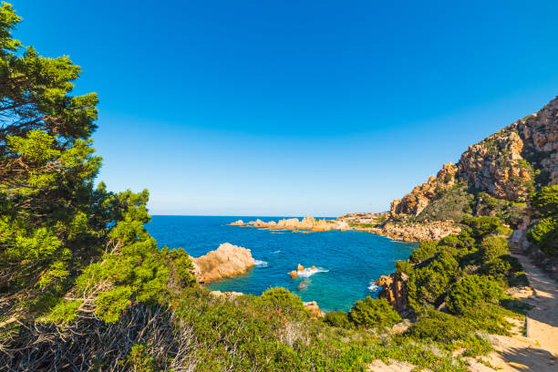 istock Green plants in Costa Paradiso 664348226