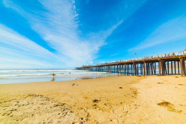 istock Surfers in Pismo Beach 664348544