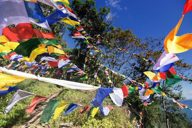 istock Colourful Buddhist prayer flags, Sikkim, India 664350428