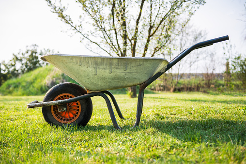 wheelbarrow standing on the meadow of a garden - with blurry background