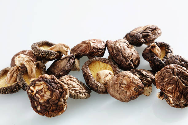 Shiitake mushroom Shiitake mushroom 乾物 stock pictures, royalty-free photos & images